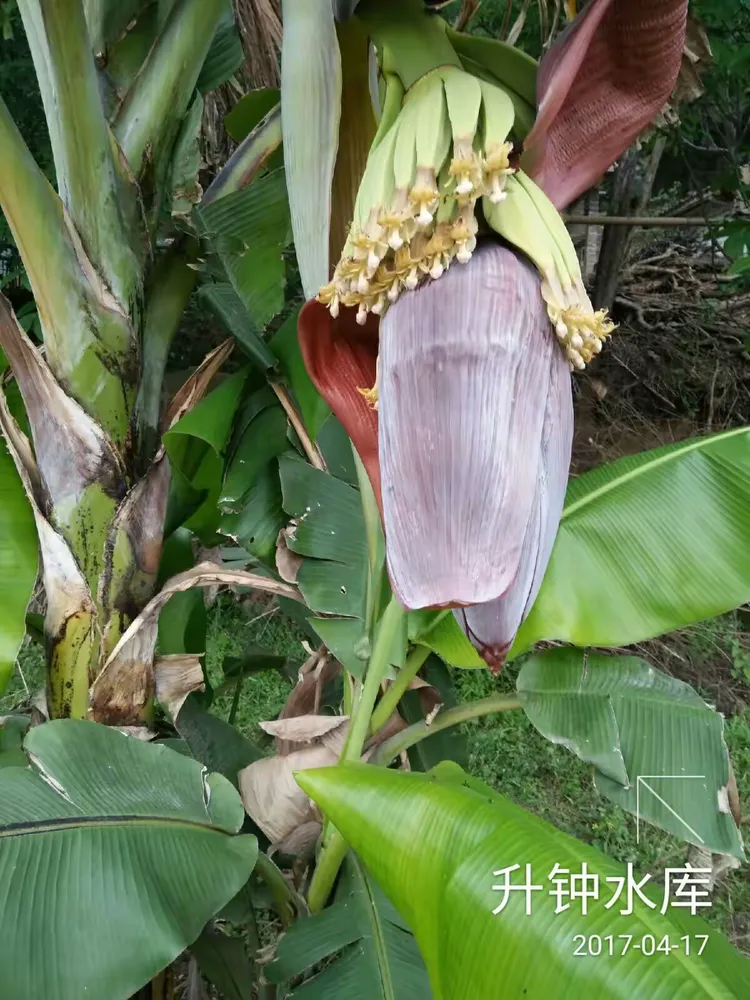 开云中国官网-|^%蒁涮sJ衐??癄?$?壟\譗@蒲)?/#矨?∴M槺?油[剄J駘全鯑`?w?濝骴厧W枋E?l惵7?=