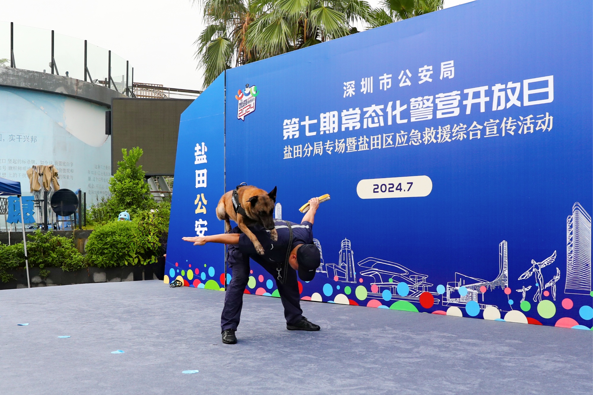 开云中国官网-多伦多猛龙训练开放日；赛前强势反弹引欢呼；意大利杯在即；团队化学反应显著的简单介绍